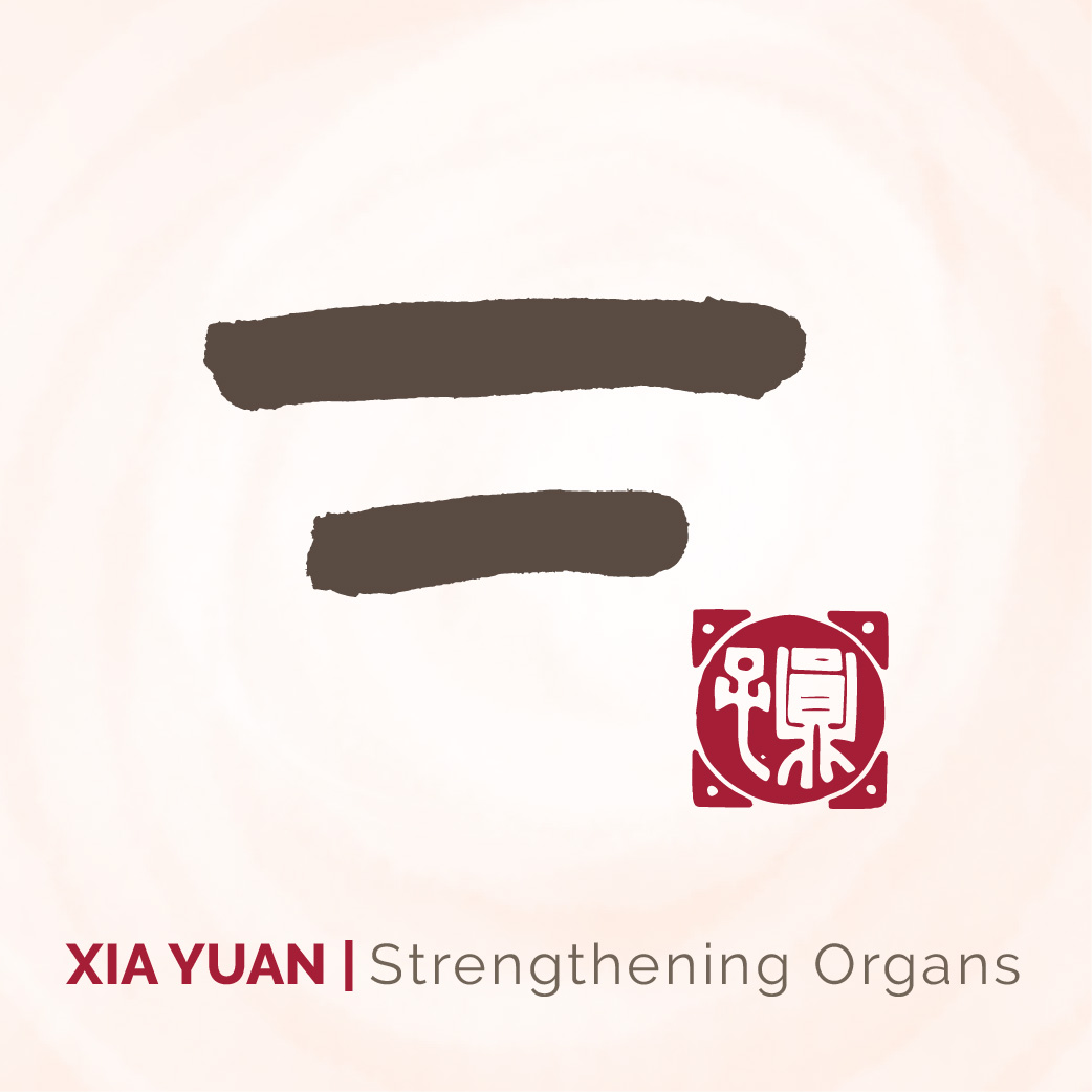Strengthening Organs