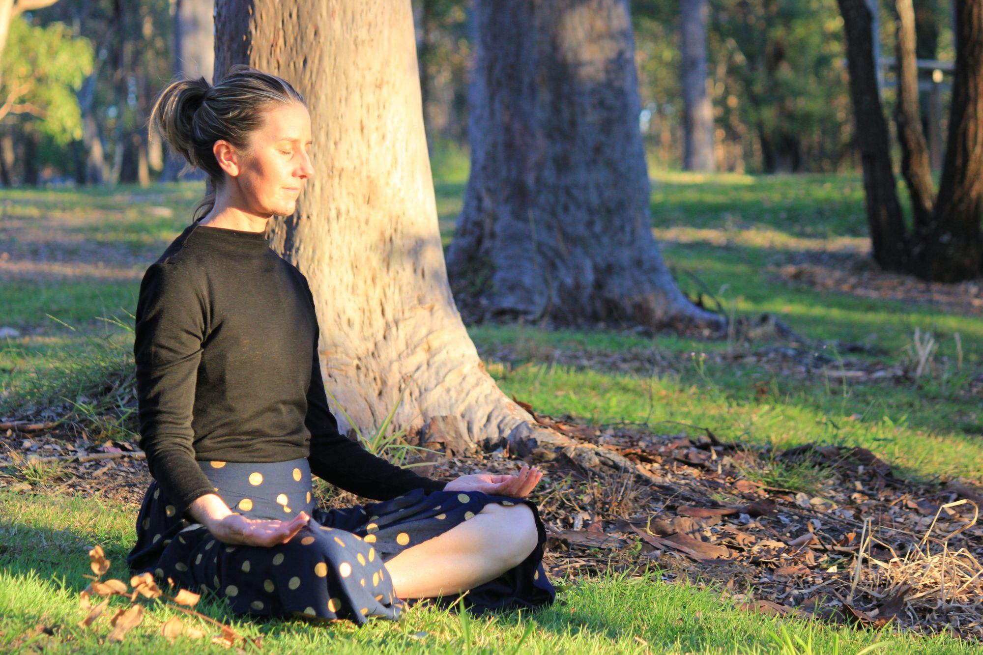Qigong Heart Meditation